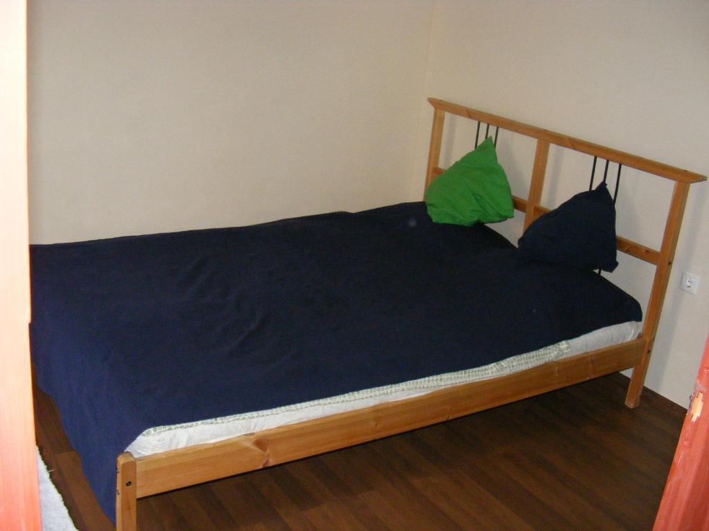 Palatinus Apartment ブダペスト 部屋 写真