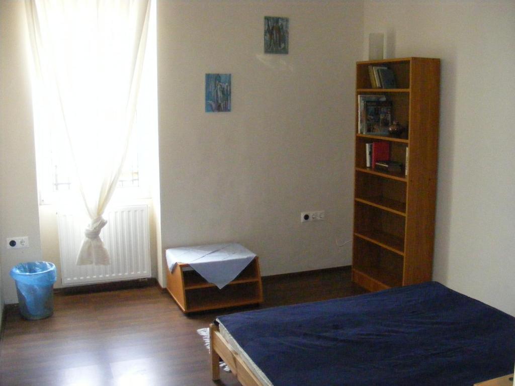 Palatinus Apartment ブダペスト 部屋 写真