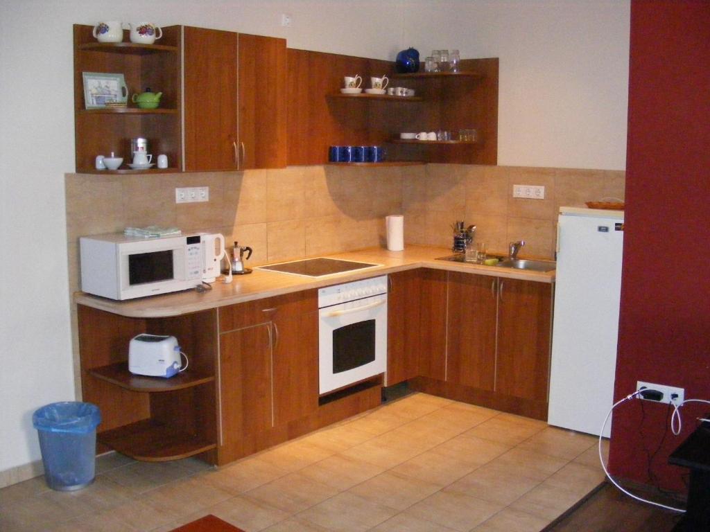 Palatinus Apartment ブダペスト 部屋 写真