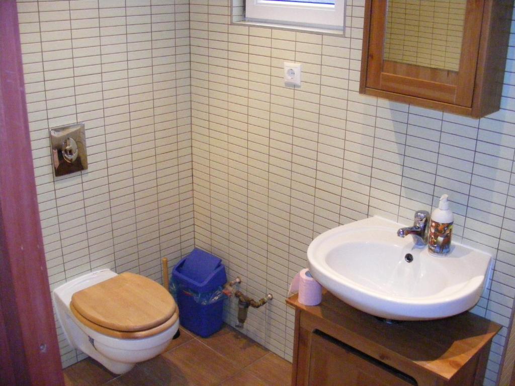 Palatinus Apartment ブダペスト 部屋 写真